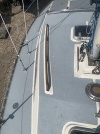 IMG_5728.jpeg