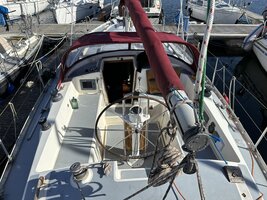 IMG_2865.JPG