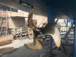 IMG_1175.jpeg