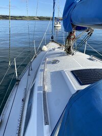 IMG_1370.jpeg