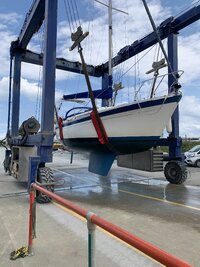 IMG_4881.jpeg