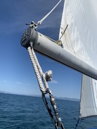 IMG_0610.jpeg